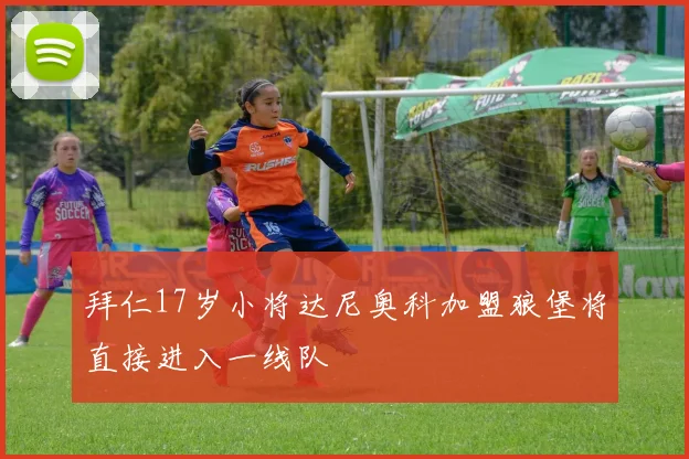 拜仁17岁小将达尼奥科加盟狼堡将直接进入一线队