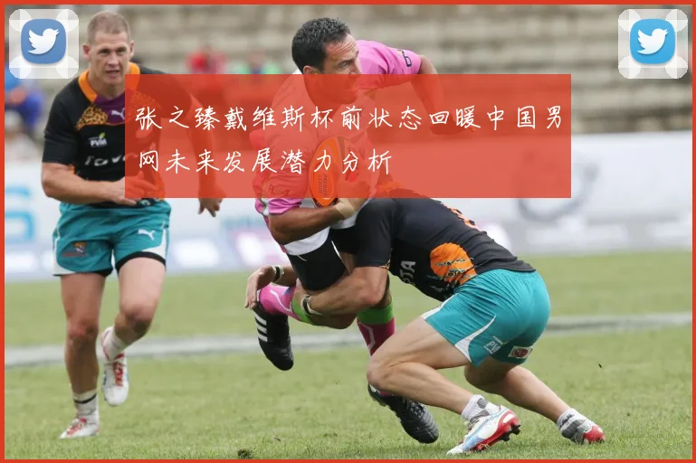张之臻戴维斯杯前状态回暖中国男网未来发展潜力分析