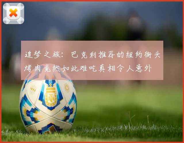 追梦之旅：巴克利推荐的纽约街头烤肉竟然如此难吃真相令人意外
